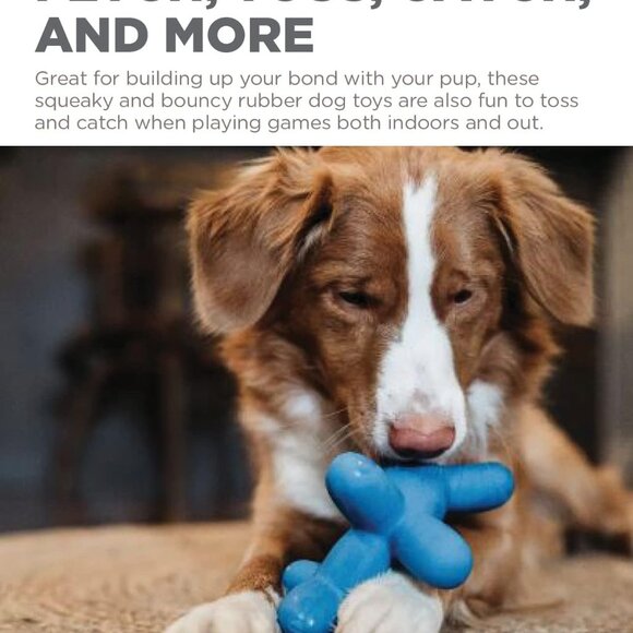 by Charming Pet Latex Rubber Balloon Squeaky Dog Toy, Blue, Large - Picture 4 of 9